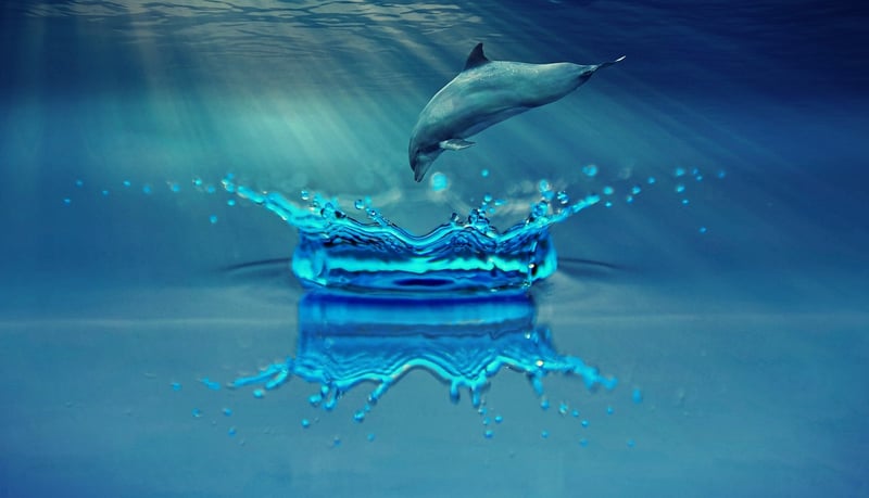 Underwater Entertainment