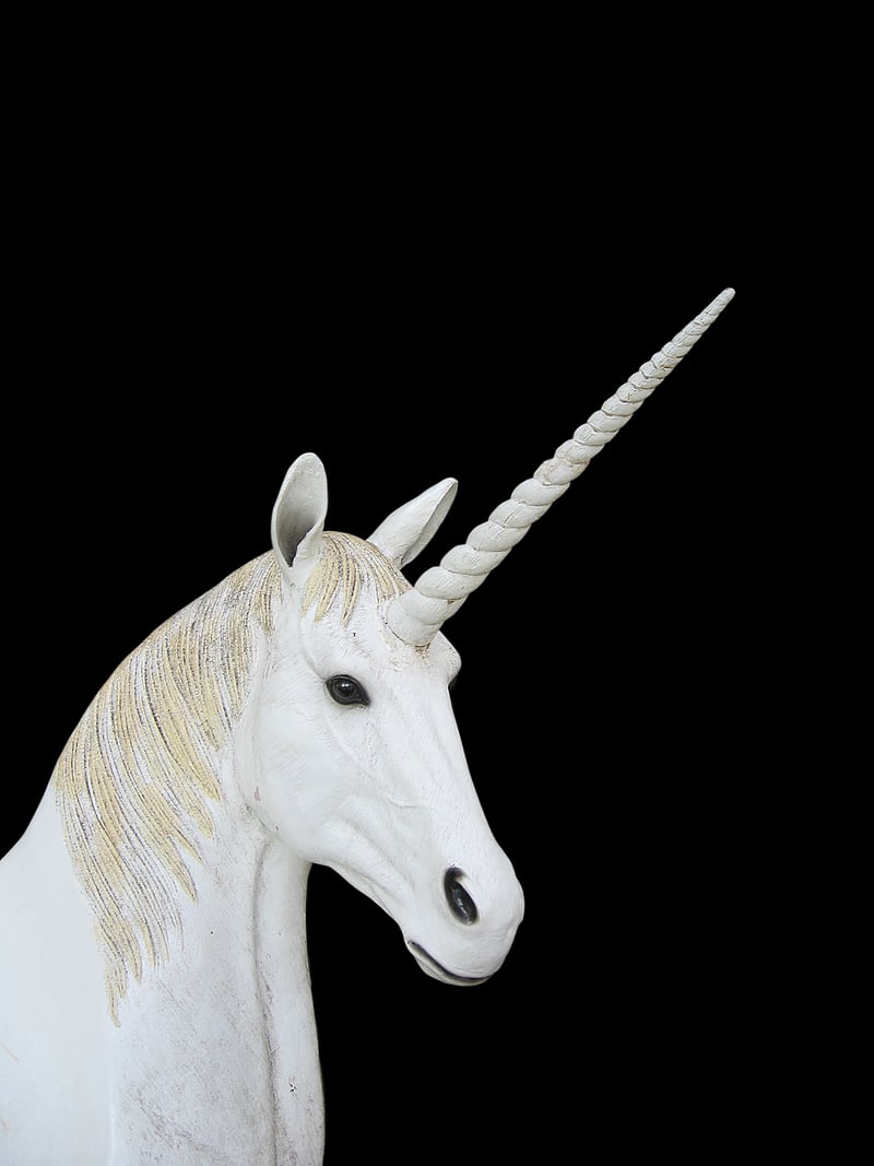 Unicorn Fantasy Image